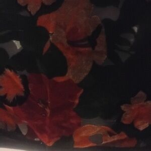 Medici Burm-out Velvet Scarf